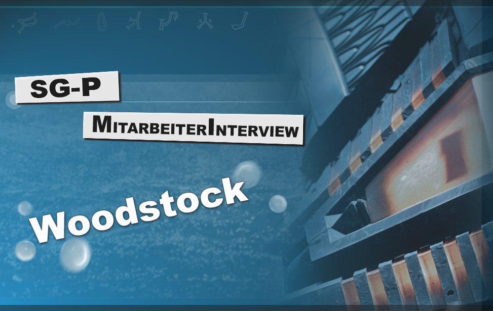 Teaser Artikel Mitarbeiterinterview Woodstock