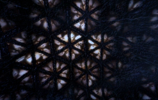Stargate: Atlantis - Lexikon - Wraith Schlafkammer 1
