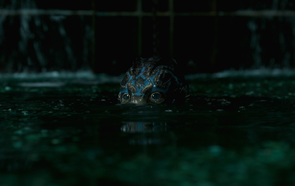 News - The Shape of Water