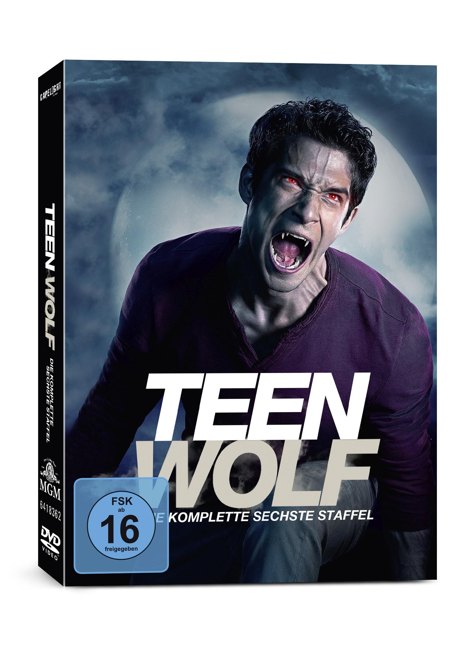 Teen Wolf - Staffel 6 - DVD Box